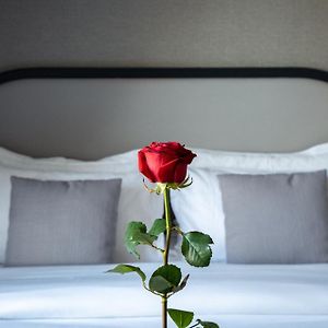 Club Double or Twin Room